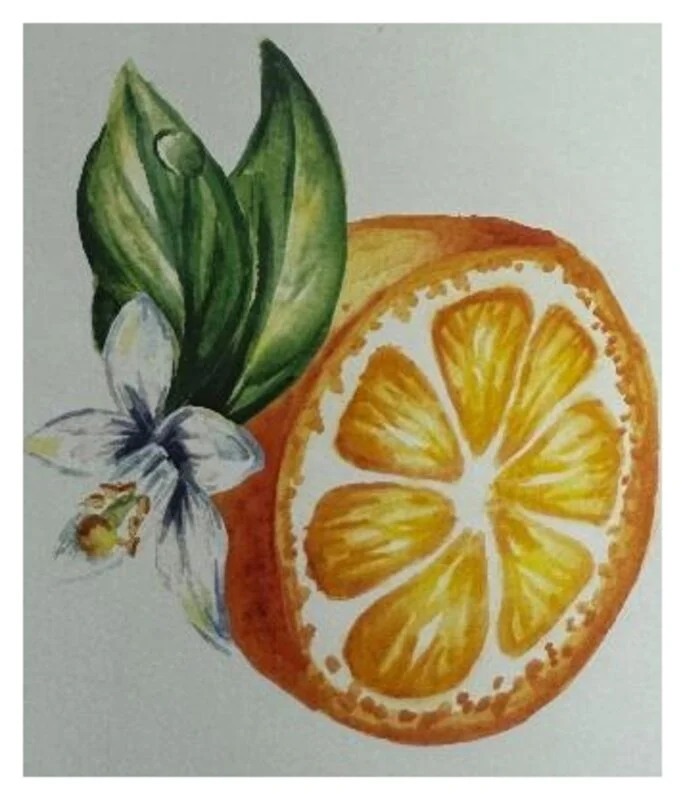 Aquarell: Orange